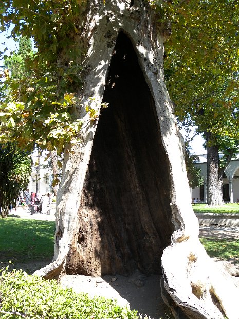 Topkapi - il giardino